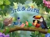 3rdandBird