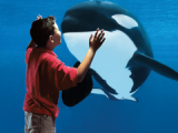 sea-world