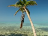 dreamstime_xs_6389505