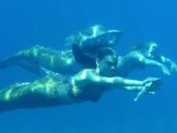 H2O