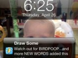 Birdpoop3