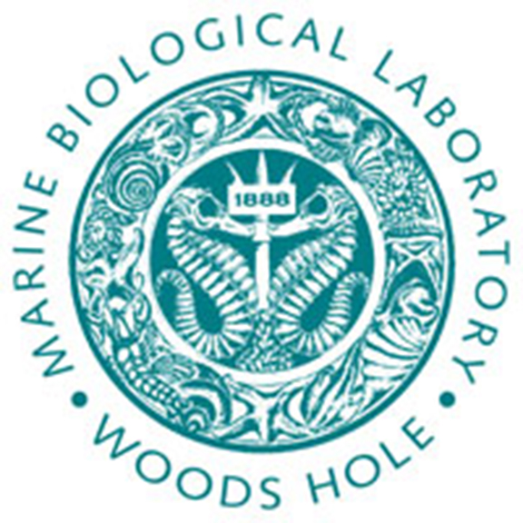5_MBL Logo (2)